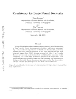 A General Framework of the Consistency for Large Neural Networks