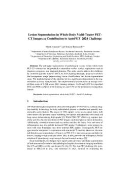 Lesion Segmentation in Whole-Body Multi-Tracer PET-CT Images; a
  Contribution to AutoPET 2024 Challenge