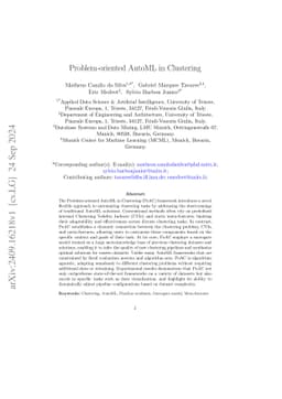 Problem-oriented AutoML in Clustering