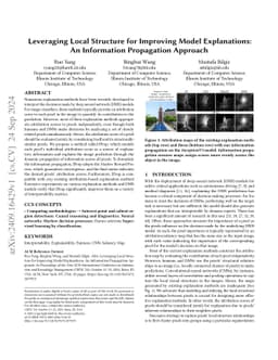 Leveraging Local Structure for Improving Model Explanations: An
  Information Propagation Approach