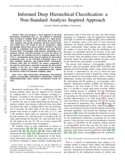 Informed deep hierarchical classification: a non-standard analysis
  inspired approach
