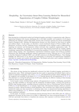 MorphoSeg: An Uncertainty-Aware Deep Learning Method for Biomedical
  Segmentation of Complex Cellular Morphologies