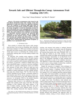 Towards Safe and Efficient Through-the-Canopy Autonomous Fruit Counting with UAVs