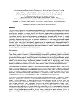 Heterogeneous quantization regularizes spiking neural network activity