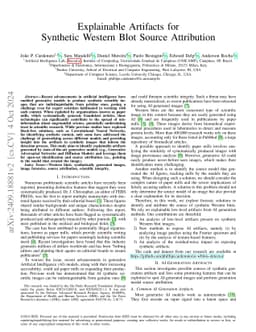 Explainable Artifacts for Synthetic Western Blot Source Attribution