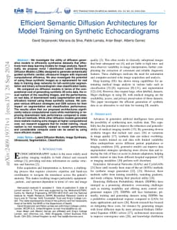 Efficient Semantic Diffusion Architectures for Model Training on
  Synthetic Echocardiograms