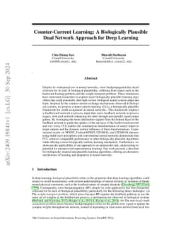 Counter-Current Learning: A Biologically Plausible Dual Network Approach
  for Deep Learning