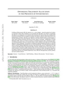 Optimizing Treatment Allocation in the Presence of Interference
