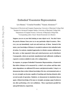 Embodied Visuomotor Representation