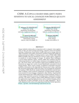 CSIM: A Copula-based similarity index sensitive to local changes for
  Image quality assessment