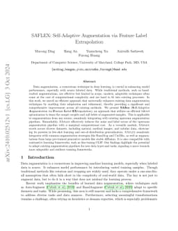 SAFLEX: Self-Adaptive Augmentation via Feature Label Extrapolation
