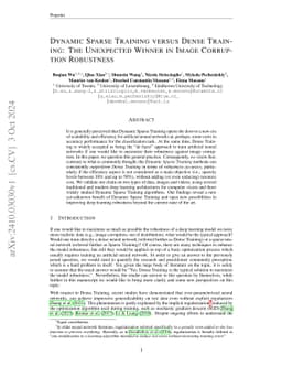 Dynamic Sparse Training versus Dense Training: The Unexpected Winner in Image Corruption Robustness
