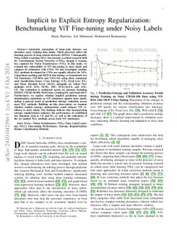 Implicit to Explicit Entropy Regularization: Benchmarking ViT
  Fine-tuning under Noisy Labels