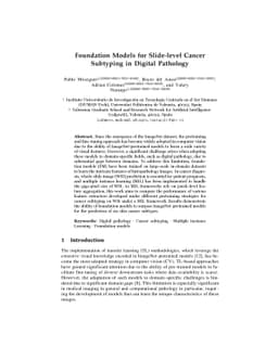 Foundation Models for Slide-level Cancer Subtyping in Digital Pathology
