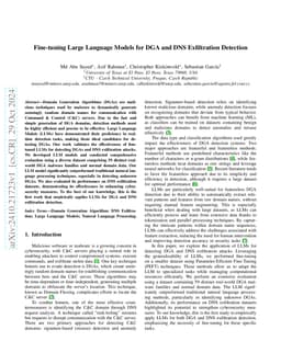 Fine-tuning Large Language Models for DGA and DNS Exfiltration Detection