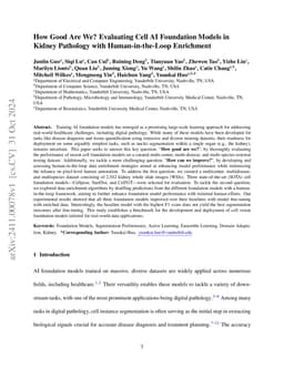 How Good Are We? Evaluating Cell AI Foundation Models in Kidney
  Pathology with Human-in-the-Loop Enrichment