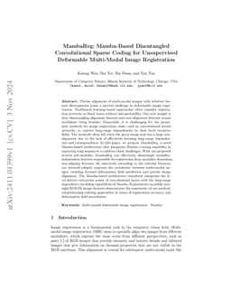 MambaReg: Mamba-Based Disentangled Convolutional Sparse Coding for
  Unsupervised Deformable Multi-Modal Image Registration