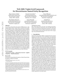 TriG-NER: Triplet-Grid Framework for Discontinuous Named Entity Recognition