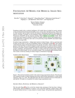 Foundation AI Model for Medical Image Segmentation
