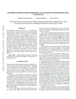 Ensemble Learning for Microbubble Localization in Super-Resolution Ultrasound