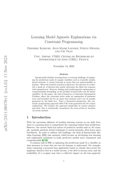 Learning Model Agnostic Explanations via Constraint Programming
