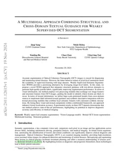 A Multimodal Approach Combining Structural and Cross-domain Textual
  Guidance for Weakly Supervised OCT Segmentation