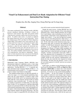 Visual Cue Enhancement and Dual Low-Rank Adaptation for Efficient Visual
  Instruction Fine-Tuning