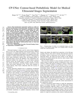 CP-UNet: Contour-based Probabilistic Model for Medical Ultrasound Images
  Segmentation