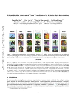 Efficient Online Inference of Vision Transformers by Training-Free
  Tokenization