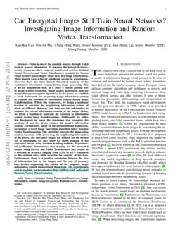 Can Encrypted Images Still Train Neural Networks? Investigating Image
  Information and Random Vortex Transformation