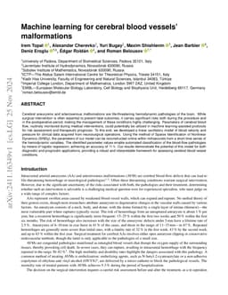 Machine learning for cerebral blood vessels' malformations