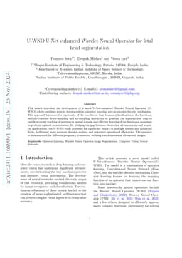 U-WNO:U-Net-enhanced Wavelet Neural Operator for fetal head segmentation
