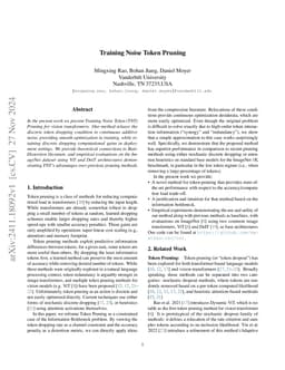 Training Noise Token Pruning