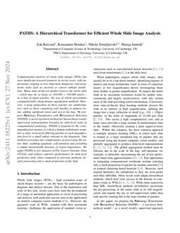 PATHS: A Hierarchical Transformer for Efficient Whole Slide Image
  Analysis