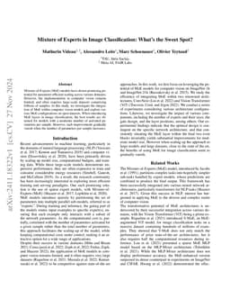 Mixture of Experts in Image Classification: What's the Sweet Spot?