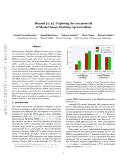 Beyond [cls]: Exploring the true potential of Masked Image Modeling representations