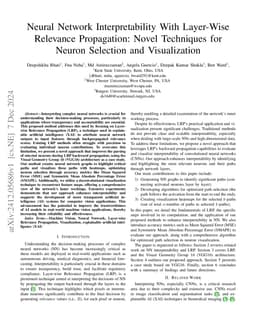 Neural network interpretability with layer-wise relevance propagation:
  novel techniques for neuron selection and visualization