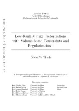 Low-Rank Matrix Factorizations with Volume-based Constraints and
  Regularizations