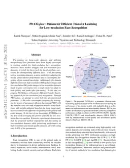 PETALface: Parameter Efficient Transfer Learning for Low-resolution Face
  Recognition