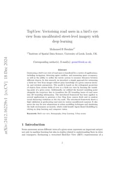 TopView: Vectorising road users in a bird's eye view from uncalibrated
  street-level imagery with deep learning