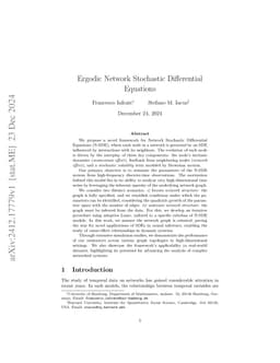 Ergodic Network Stochastic Differential Equations