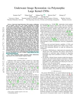 Underwater Image Restoration via Polymorphic Large Kernel CNNs