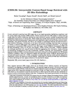 iCBIR-Sli: Interpretable Content-Based Image Retrieval with 2D Slice Embeddings