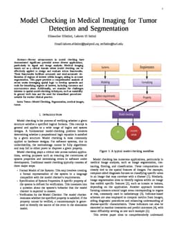 Model Checking in Medical Imaging for Tumor Detection and Segmentation