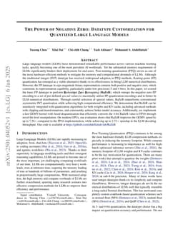 The Power of Negative Zero: Datatype Customization for Quantized Large Language Models