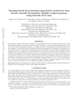 Topology-based deep-learning segmentation method for deep anterior lamellar keratoplasty (DALK) surgical guidance using M-mode OCT data