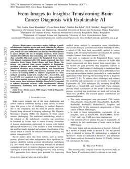 From Images to Insights: Transforming Brain Cancer Diagnosis with Explainable AI