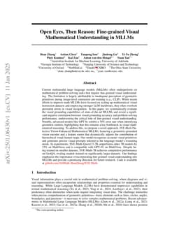 Open Eyes, Then Reason: Fine-grained Visual Mathematical Understanding in MLLMs