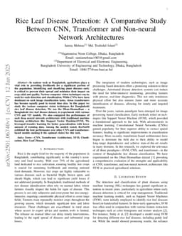 Rice Leaf Disease Detection: A Comparative Study Between CNN, Transformer and Non-neural Network Architectures
