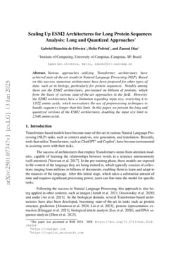 Scaling Up ESM2 Architectures for Long Protein Sequences Analysis: Long and Quantized Approaches